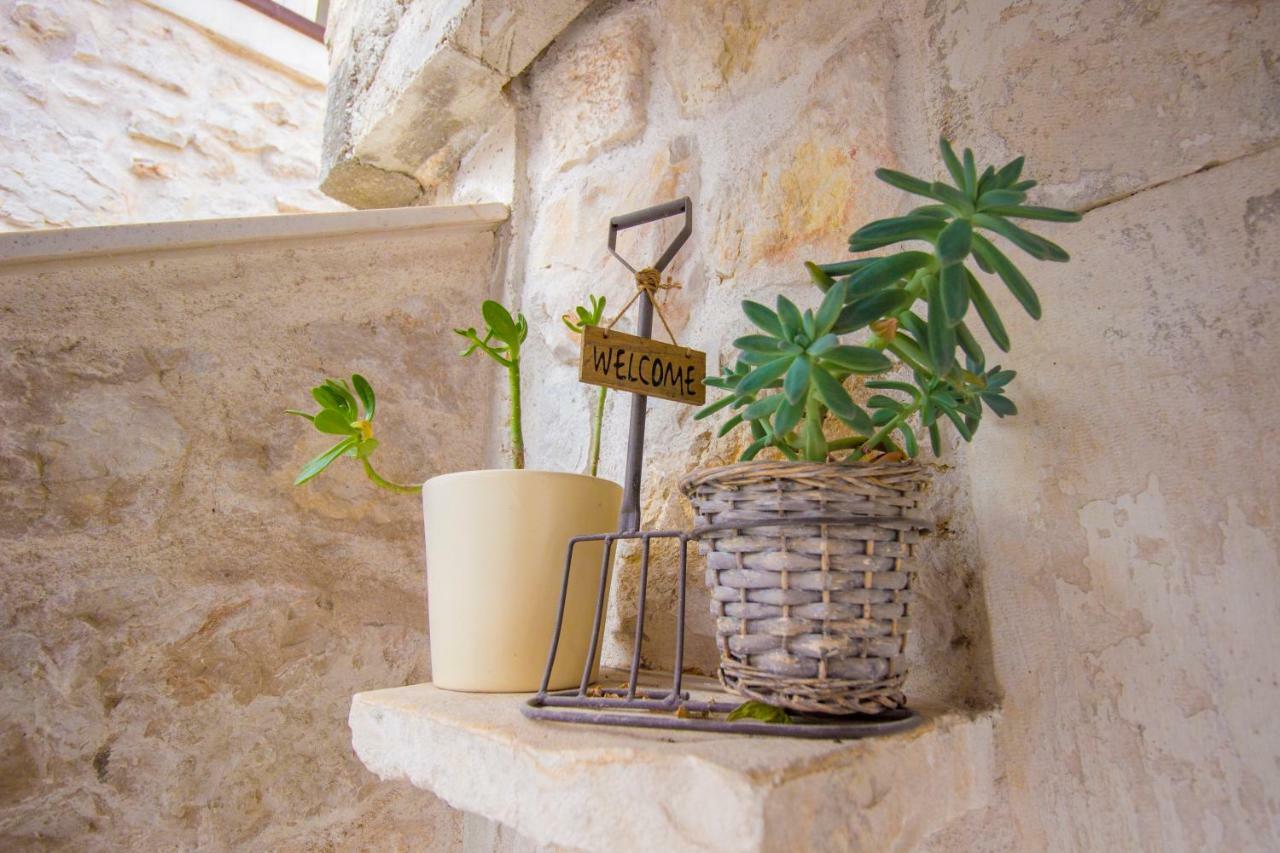 Apartment Ivan City Center Šibenik Dış mekan fotoğraf